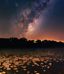 Milky Way over Lake Clifton's Thrombolites - Western Australia