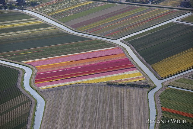Dutch Flower Fields from the air