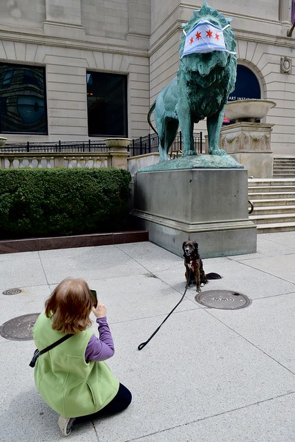 Taking a Portrait with the Masked Lion, Art Institute, Chicago, 2020