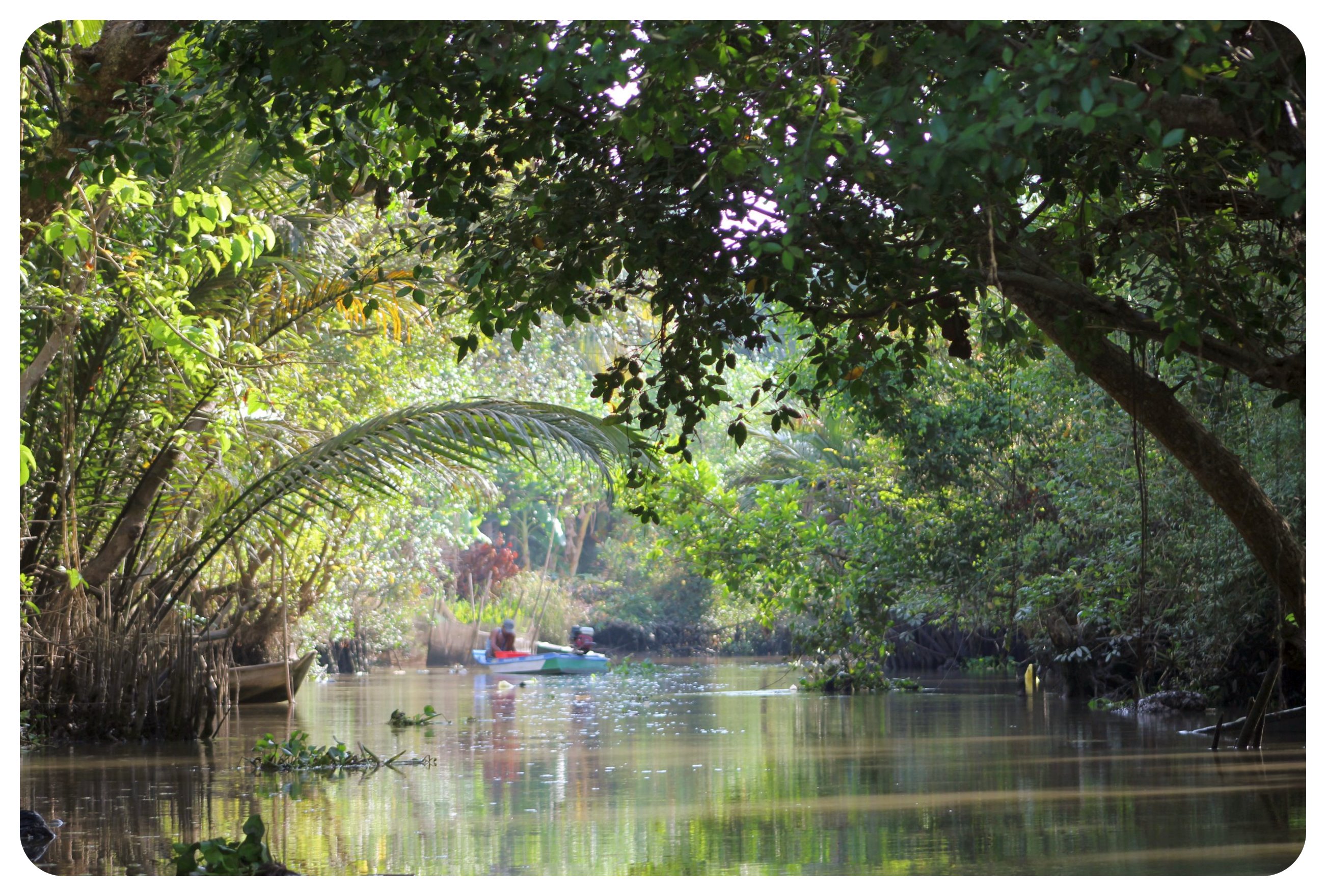 mekong delta backwaters