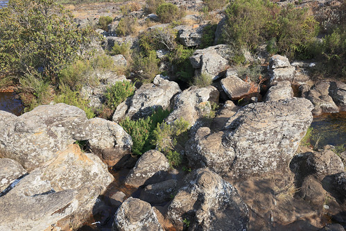 canon eos 6 d 6d ef 2470 24 70 f4 f 4 l is usm voyage travel travelling reise vacation south africa südafrika rsa afrika mpumalanga highveld panorama route mac pools winter