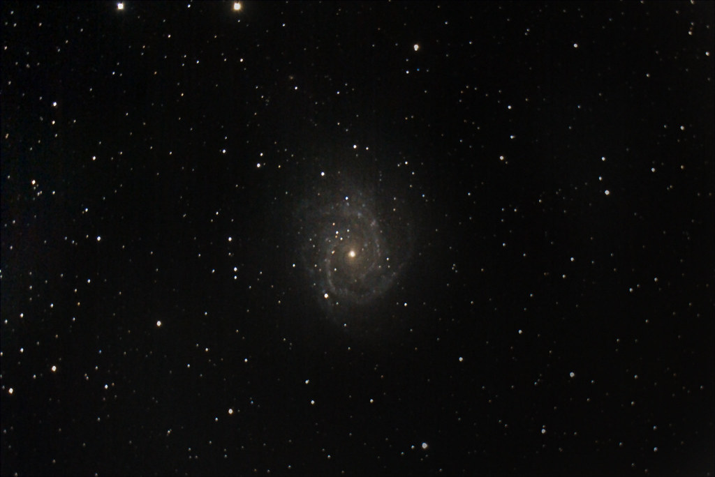 NGC 2997 Galaxy from the backyard.