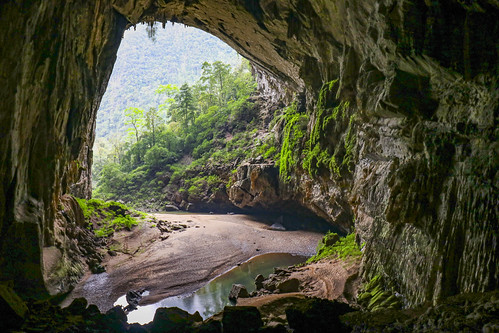 cave green nature rock vietnam