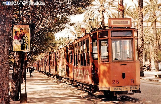 Trams de Palma de Majorque (Espagne)