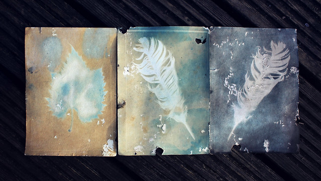 Weathered Cyanotype 'Sun Prints'