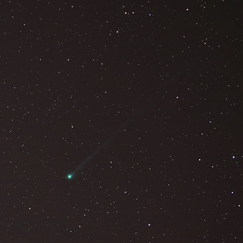 Comet Swan C:2020 F8