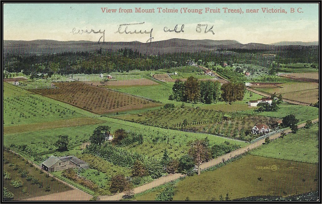c. 1908 Valentine & Sons' Postcard (#102,892) - View from Mount Tolmie (Young Fruit Trees), near Victoria, B.C.