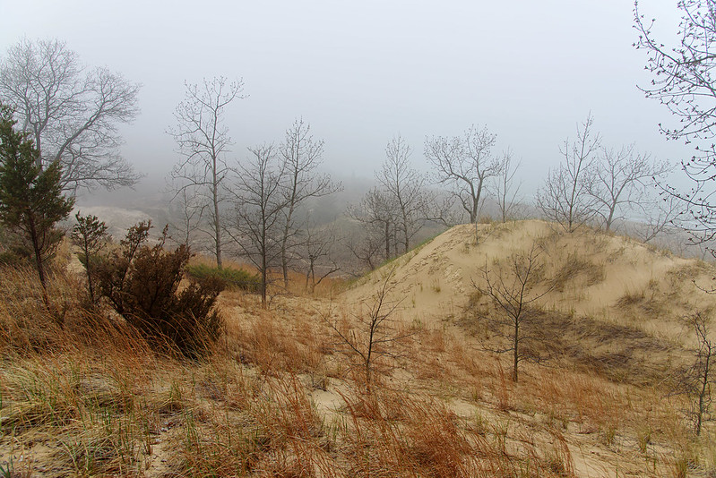 Distant Fog