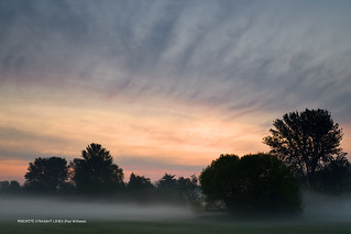 Awaken to a misty morning  -  (Published by GETTY IMAGES)
