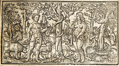Boccaccio, Giovanni. Opus de claris mulieribus... Bern, 1539 (2/2)