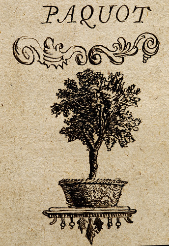 Historiae Romanae epitomae... Leiden, 1649 (2/2)