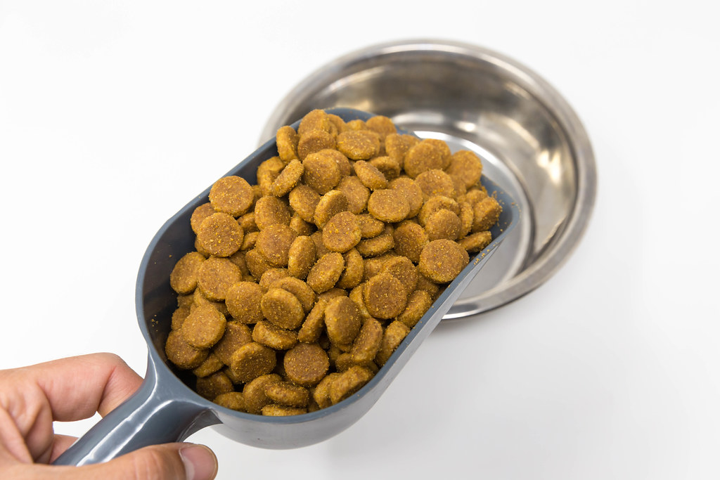 Unveiling the Truth: Can Dogs Really Eat Chicken Nuggets? Find Out Now! Discover the truth about can dogs eat chicken nuggets. Learn the risks, healthy alternatives and homemade recipes for your furry friend. Read now!