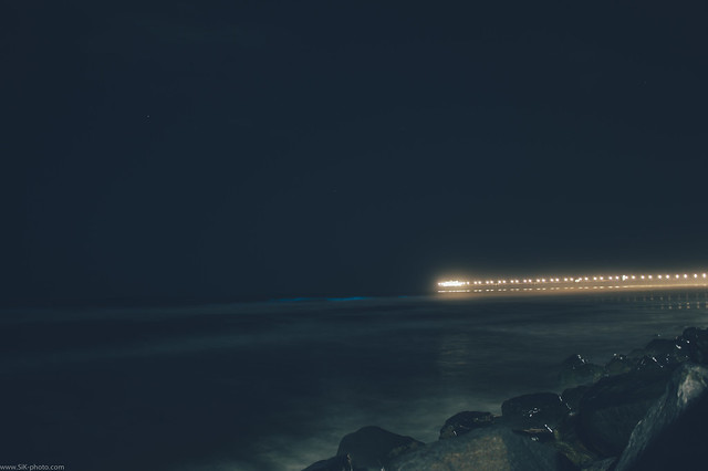 bioluminescent pier.