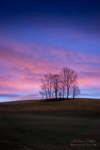 A7300481_s by AndiP66, Sunrise, Huttwilsunrise sonnenaufgang bäume trees huttwil emmental emmentalvalley bern winter sun so