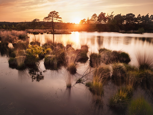 Axe Pond, The Flashes, Surrey, England by weesam2010, Sunset over the Flashes.axe pond flashes surrey england britain uk united water lake sunset colours