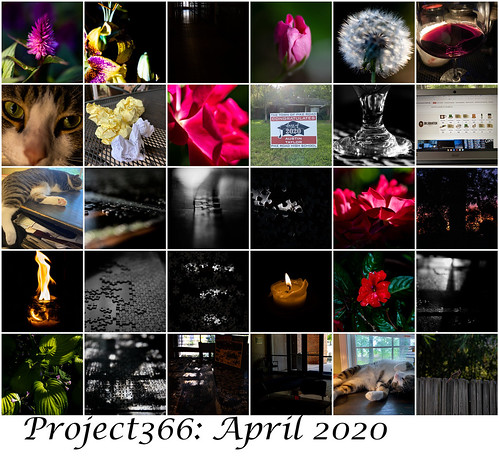 Project366 April