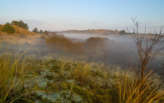 the misty nature of Vlieland