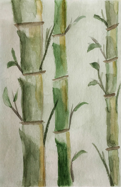 bamboo study- watercolour.