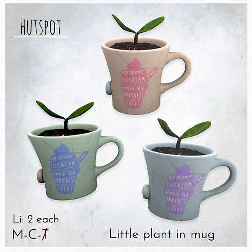 Little plant in mug