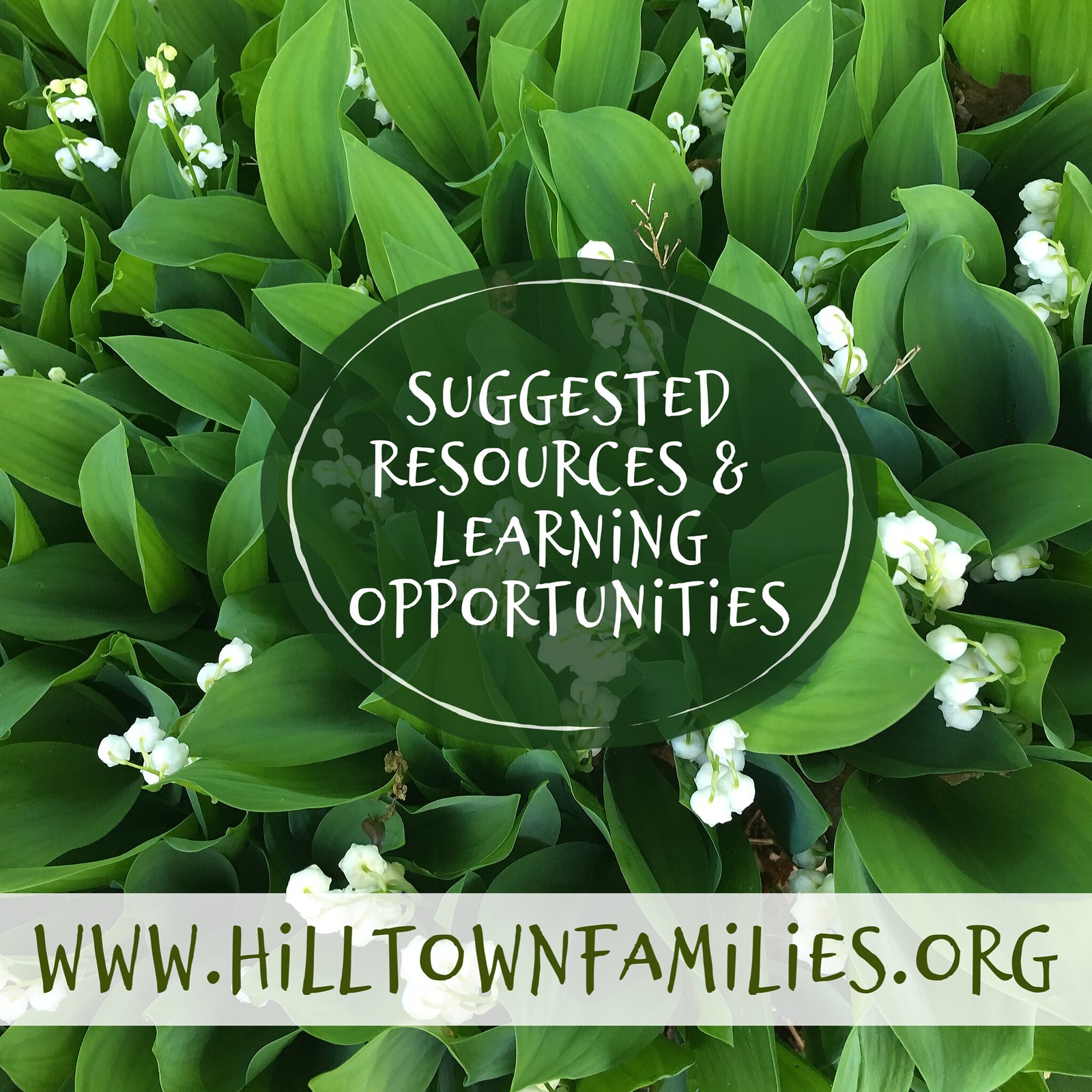 Over 100 smart things to do in western Massachusetts and online learning opportunities for mid-May for everyone in your family!