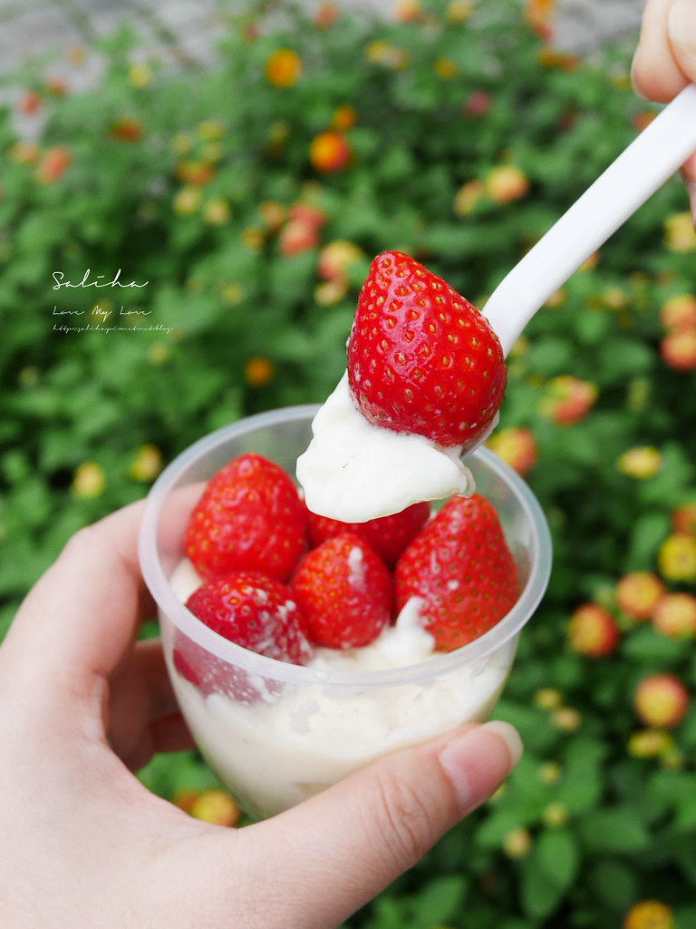 台北松山區小巨蛋站隱藏版草莓甜點西米露奶酪港式燉奶 (9)