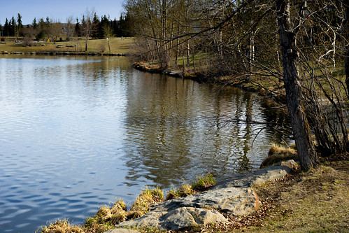 urban pond landscape calgary カルガリー アルバータ州 alberta canada カナダ 5月 五月 早月 gogatsu satsuki fastmonth 2020 令和元年 summer may reiwa2