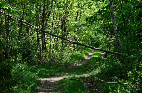 Oberschleißheim - Obstacle | by cnmark