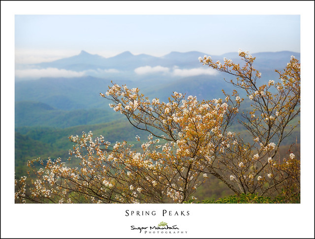 Spring Peaks
