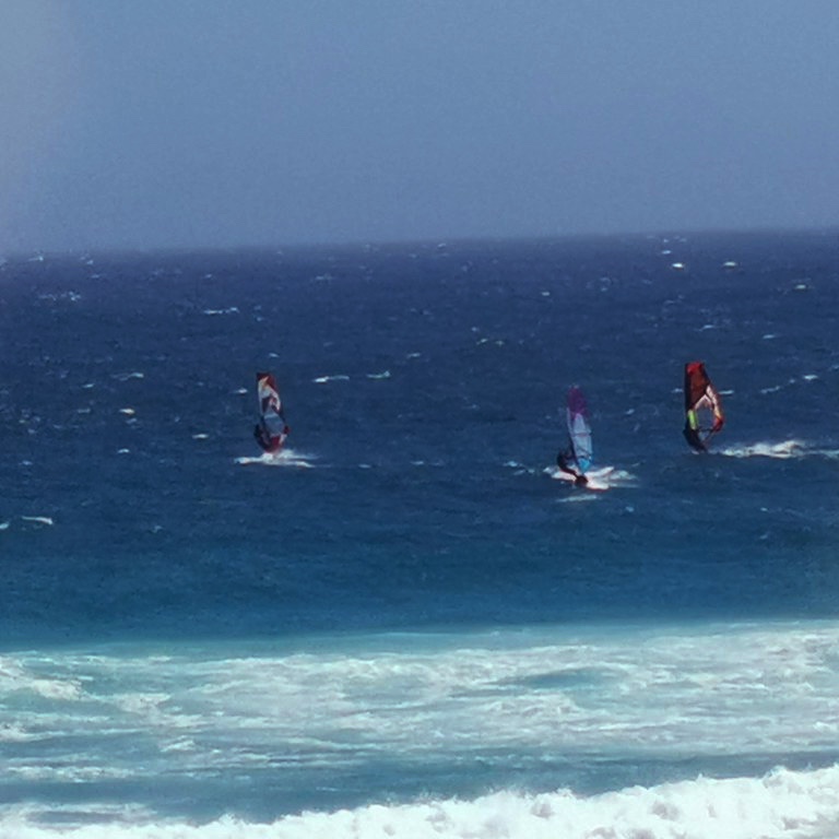 Windsurfers surfing at Cape of Good Hope