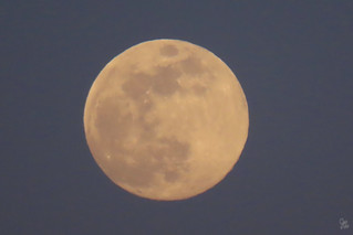 99.6% Full Flower Moon | Wheeling WV - Moonrise over Wheelin… | Flickr