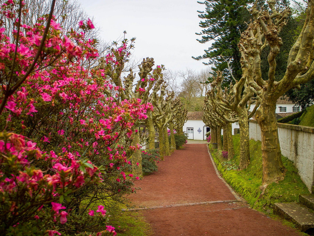 Entrada de tierra a Chá Porto Formoso en Sao Miguel