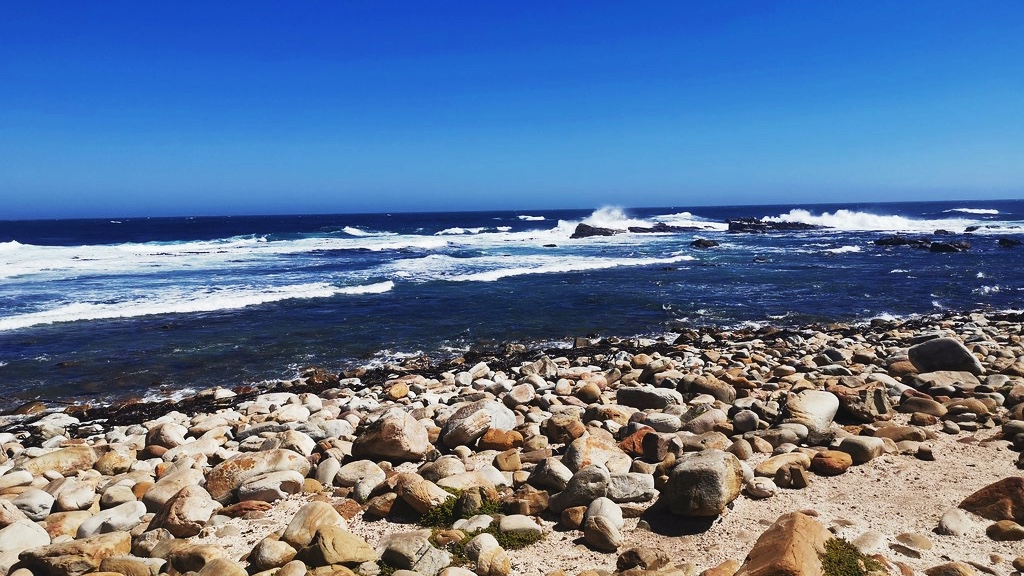 Rock beach at Cape of Good Hope