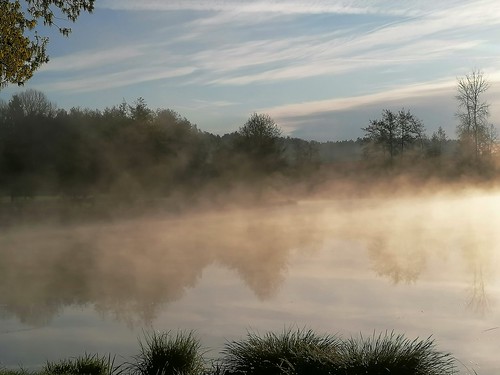 spiegelung mirroreffect teich pond nebel mist fog himmel sky wasser water bäume trees landschaft landscape oberpfalz upperpalatinate morgensonne morgenlicht morningsun