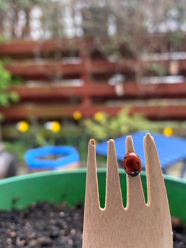 budding naturalist | by greenspacescot