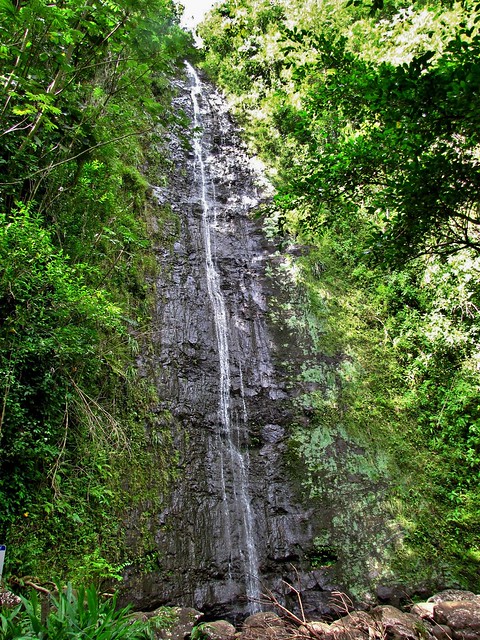 Manoa Falls, Manoa Falls Trail, Honolulu, Oahu, Hawaii