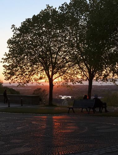 williamson park lancaster lancashire uk city centre bench mosaic tree sunset silhouette