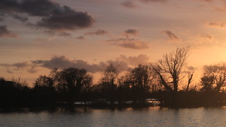 Sunset Skies and Silhouetted Trees over Water