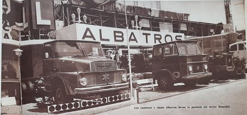 Albatros 1