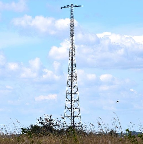 Alter Mast | by Profiler Near