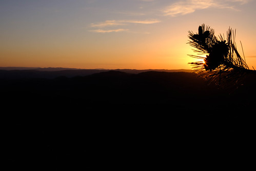 DSCF0420.jpg by Thorün, fujifilm xt20 nature hérault outside sunset