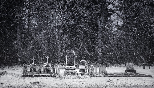 canterbury newzealand new zealand burkes pass mountain snow blizzard winter pioneer settler cemetery grave pine tree cold lonely dreamy rural cabbage monochrome bw creek kurdulija