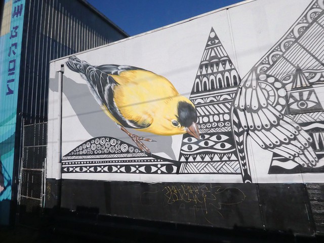 Seattle Street Art during Covid Shutdown