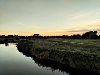 An evening walking Evie at Kingsbury water park