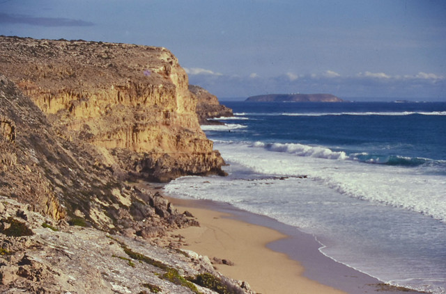 Limestone cliff, Althorpe Island and Kangaroo Island, Ethel Beach, Innes National Park, SA, 04/10/04