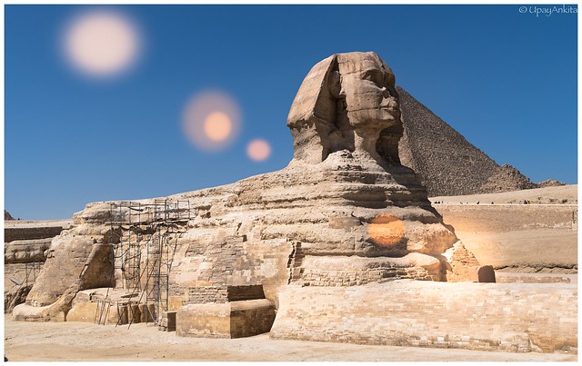 The enigmatic Sphinx of Giza