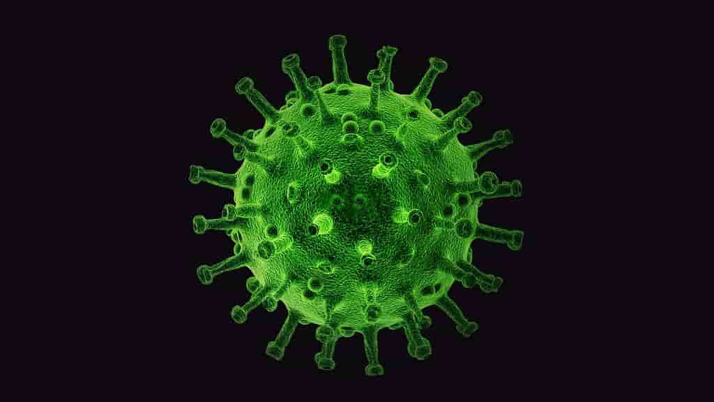 les-cellules-immuniatires-bombardent-les-infections