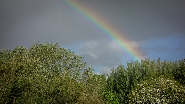 Rainbow - Cary's Meadow, Norwich.
