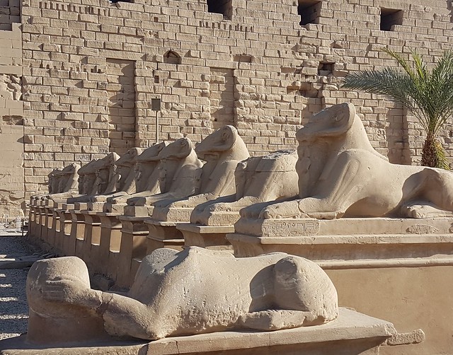 Luxor Temple - Ram Headed Sphinx