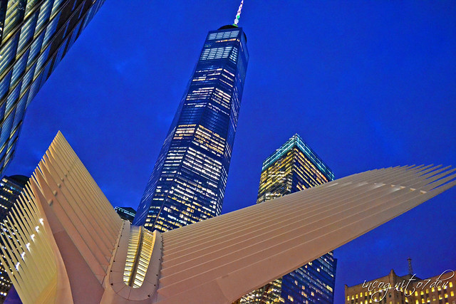 The Oculus & Freedom Tower One 1 WTC World Trade Center Lower Manhattan New York City NY P00524 DSC_0080
