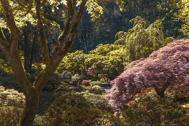 Portland Japanese Gardens - Oregon, USA